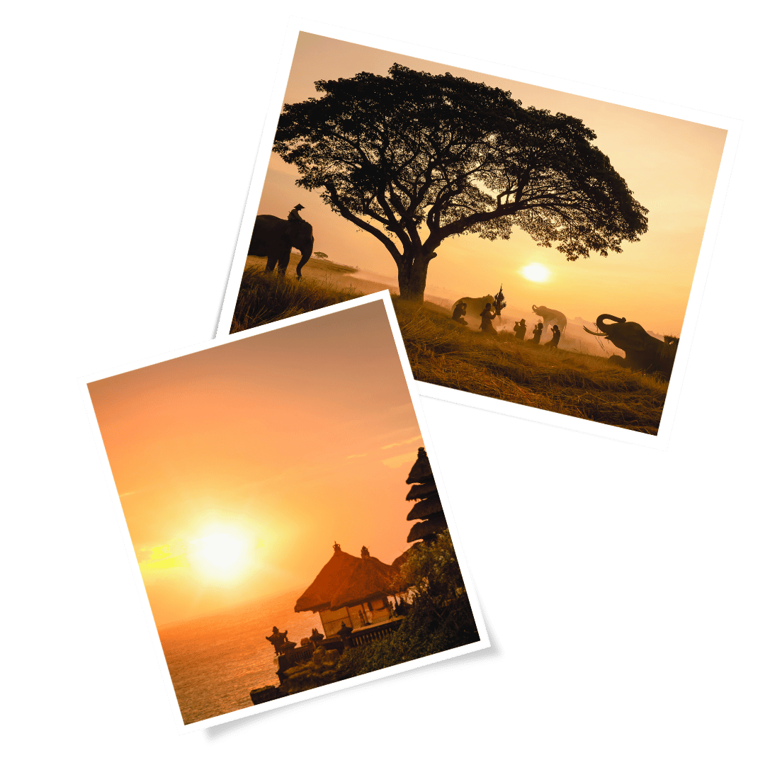 namibi et bali au couché de soleil